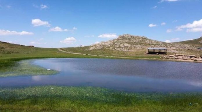 Mahkeme, Emirdağ yaylalarında altın arama faaliyetlerini durdurdu