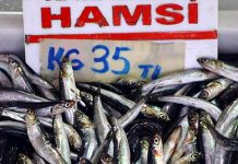 Balığın kulağına ‘lodos’ kaçtı!