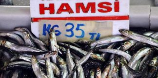 Balığın kulağına ‘lodos’ kaçtı!