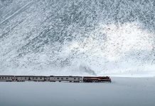 Van Gölü Toros, Ege, Pamukkale, Güney Kurtalan…