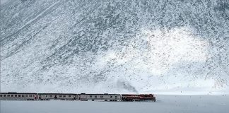 Van Gölü Toros, Ege, Pamukkale, Güney Kurtalan…