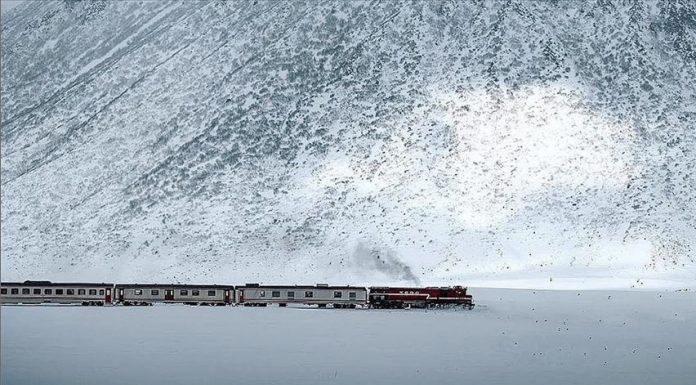 Van Gölü Toros, Ege, Pamukkale, Güney Kurtalan…