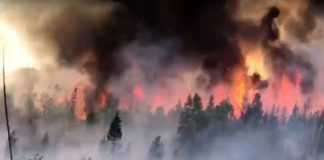 Sibirya’da ‘zombi’ yangını!