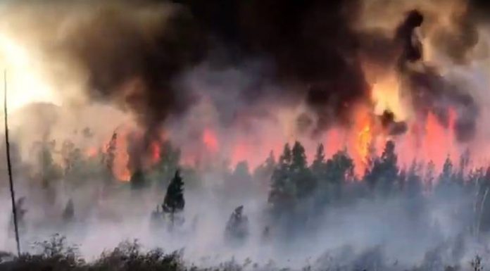 Sibirya’da ‘zombi’ yangını!