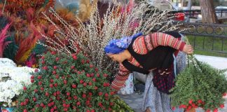 Yılbaşı çiçeği Kokina yüzde 100 zamlandı!