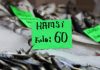 İklim değişikliği Hamsi’ye rota değiştirtince kilosu 60 liraya çıktı!