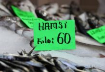 İklim değişikliği Hamsi’ye rota değiştirtince kilosu 60 liraya çıktı!