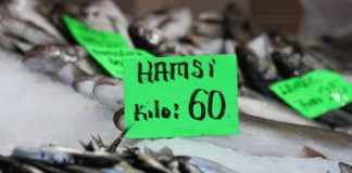 İklim değişikliği Hamsi’ye rota değiştirtince kilosu 60 liraya çıktı!