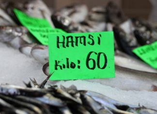 İklim değişikliği Hamsi’ye rota değiştirtince kilosu 60 liraya çıktı!