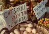 Normal yumurtanın tanesi 1.5 liraya, organik ya da gezen tavuk yumurtası ise 2.5 liraya çıktı.