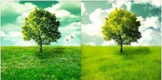 Yılbaşı Havası; Türkiye, İstanbul, Ankara…