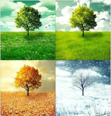 Yılbaşı Havası; Türkiye, İstanbul, Ankara…