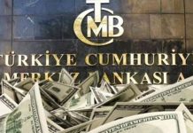 Dövize 3. doğrudan müdahalenin büyüklüğü 687 milyon dolar