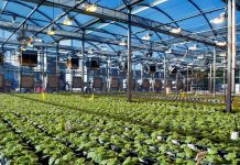 KOVİD-19 AŞI ÇİFTLİĞİ!