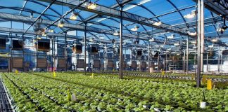 KOVİD-19 AŞI ÇİFTLİĞİ!