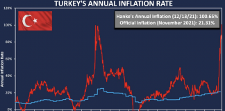 EKONOMİST STEVE HANKE’NİN HESABI: TÜRKİYE’NİN YILLIK ENFLASYONU % 100,65