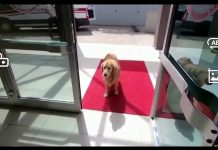 Reuters’ın en çok izlenen videosu Türkiye’den!