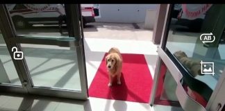 Reuters’ın en çok izlenen videosu Türkiye’den!