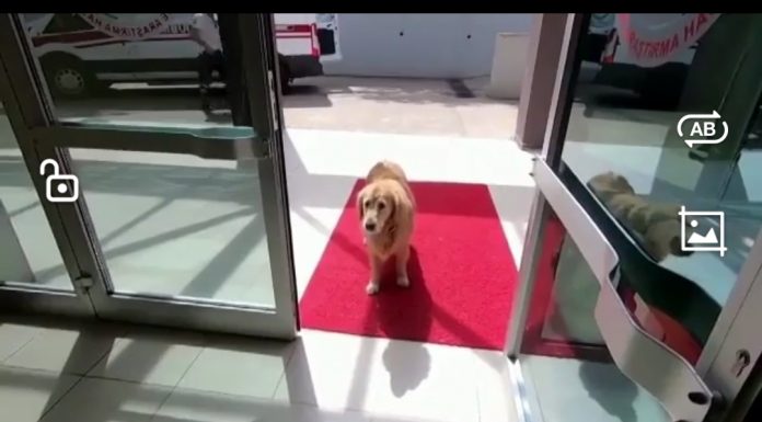 Reuters’ın en çok izlenen videosu Türkiye’den!