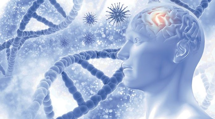 alzheimer-icin-erken-tani-umudu-763496-5