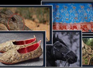 Pabucu dama atılmak, nalları dikmek, bulunmaz hint kumaşı… İşte bazı ‘deyimlerin’ öyküsü.