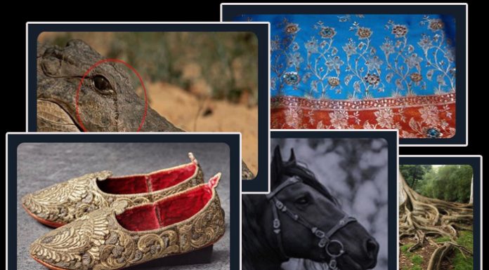 Pabucu dama atılmak, nalları dikmek, bulunmaz hint kumaşı… İşte bazı ‘deyimlerin’ öyküsü.