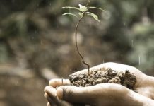 Prof. Dr. Övgün Ahmet Ercan: “İvedi ekim, dikim seferberliği başlatmalı”