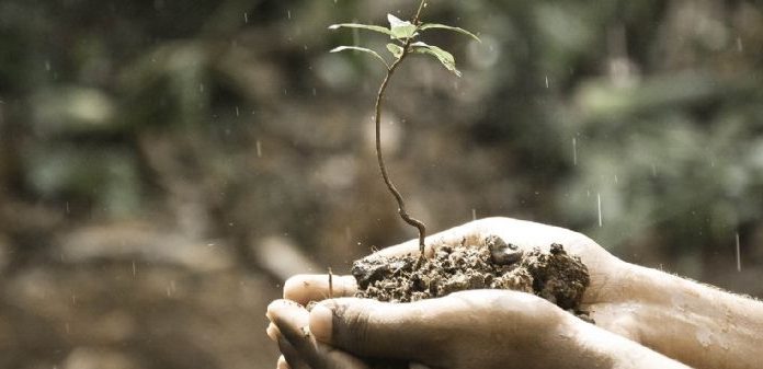 Prof. Dr. Övgün Ahmet Ercan: “İvedi ekim, dikim seferberliği başlatmalı”