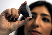 Ondan büyüğü yok ; Dünyanın en büyük kesim elması sergilenmeye başladı.