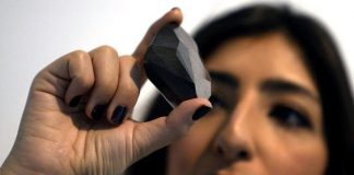 Ondan büyüğü yok ; Dünyanın en büyük kesim elması sergilenmeye başladı.