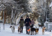 İmamoğlu da uyardı: ‘Gelecek hafta da devam edecek’