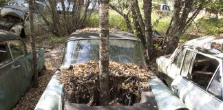 Terkedilmiş Hurda/Atıl Araçlar toplatılacak.