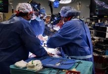 Dünya’da ilk: Domuzdan insana kalp nakli yapıldı.