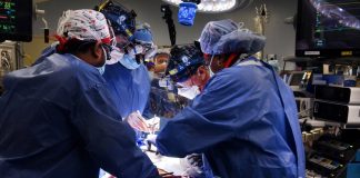 Dünya’da ilk: Domuzdan insana kalp nakli yapıldı.