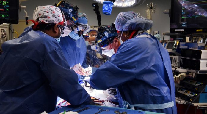 Dünya’da ilk: Domuzdan insana kalp nakli yapıldı.