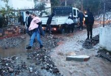 Bodrum’da Evleri su bastı, yollar kapandı, sokak hayvanları boğuldu