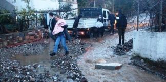 Bodrum’da Evleri su bastı, yollar kapandı, sokak hayvanları boğuldu