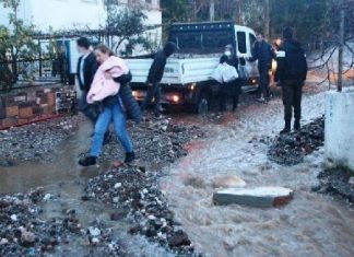 Bodrum’da Evleri su bastı, yollar kapandı, sokak hayvanları boğuldu