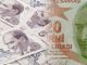 Yeni banknotlar tedavüle çıktı