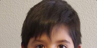 El yapımı çizgi romanını gizlice kütüphane raflarına yerleştien 8 yaşındaki ‘yazar’ bir edebiyat yıldızı haline geldi