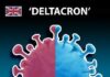 Deltacron gerçek: Omicron ve selefi Delta’nın birleşmesi olan varyant artık resmi olarak takip ediliyor