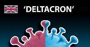 Deltacron gerçek: Omicron ve selefi Delta’nın birleşmesi olan varyant artık resmi olarak takip ediliyor