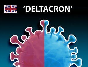 Deltacron gerçek: Omicron ve selefi Delta’nın birleşmesi olan varyant artık resmi olarak takip ediliyor
