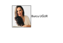 Validebağ korusun’dan, Bahçelievler Mahallesine. Üsküdar’da neler oluyor?