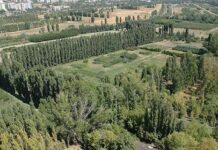 Danıştay , Atatürk Orman Çiftliği’ne kamu binası yapılamayacağına hükmetti.