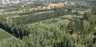 Danıştay , Atatürk Orman Çiftliği’ne kamu binası yapılamayacağına hükmetti.