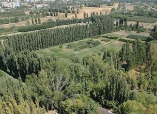 Danıştay , Atatürk Orman Çiftliği’ne kamu binası yapılamayacağına hükmetti.
