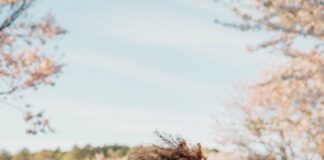 Güzellik cilt güzelliğinden daha derinlerde olabilir; Çekici insanların bağışıklık sistemleri iyi daha!