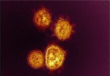 DSÖ : BA.2, diğer alt varyantlara göre daha bulaşıcı!