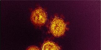 DSÖ : BA.2, diğer alt varyantlara göre daha bulaşıcı!